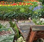 The Carrington Inn - SA Accommodation