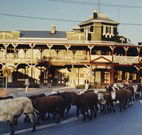 The Commercial Hotel Coonamble - Coonamble - SA Accommodation