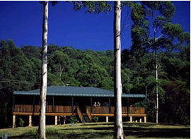Dungog NSW SA Accommodation