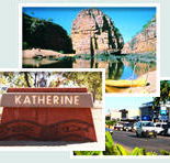 Red Gum Tourist Park - SA Accommodation