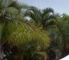 Ballina Beach Resort - SA Accommodation 4