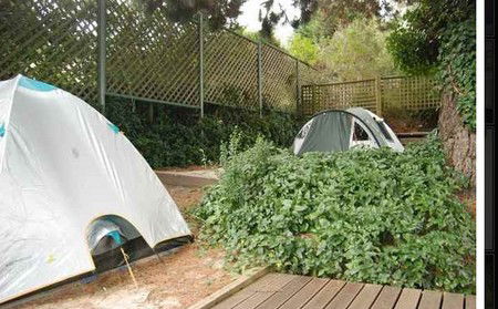The Flying Fox Backpackers - SA Accommodation 2