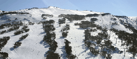 Thredbo Alpine Hotel - SA Accommodation