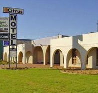 Citrus Motel - SA Accommodation