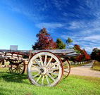 The Oaks Ranch and Country Club - Mossy Point - SA Accommodation