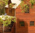 Barrington Tops Organic Retreat - SA Accommodation