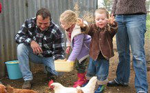 Linga Longa Farm Wingham - SA Accommodation 0