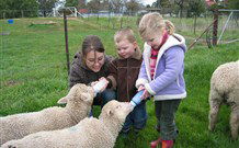 Linga Longa Farm Wingham - SA Accommodation 2