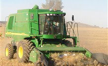 Linga Longa Farm Wingham - SA Accommodation 4