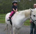 Mansfield Cottage Barrington Tops Accommodation - SA Accommodation