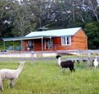 Moorallie Cottage Farm Stay - SA Accommodation