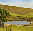 Sanctuary Hill Retreat - SA Accommodation