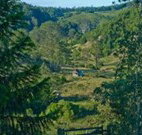 Yarralong BnB and Farm Stay - SA Accommodation