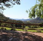 Cedar Grove - - SA Accommodation
