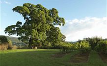Silos Estate - - SA Accommodation 1