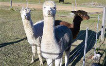 Sunrise Bed And Breakfast - SA Accommodation 4