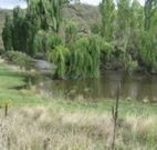 Cedar Grove - SA Accommodation