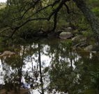 In Essentia Healing Hut of Kangaroo Valley - SA Accommodation
