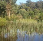 Fosterton Lodge Retreat - SA Accommodation
