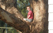 Leslie Cottage - SA Accommodation 7