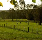 Stone Cottage Mittagong - SA Accommodation