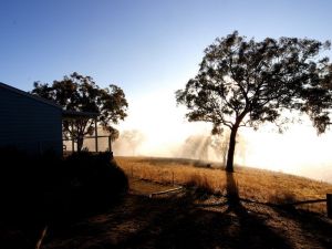 Yellowbox Country Cabins - SA Accommodation 5