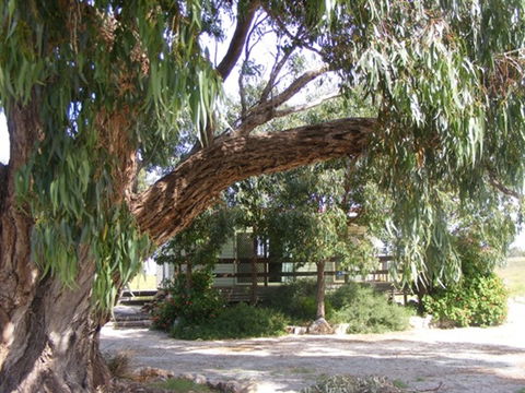 Coodlie Park - Port Kenny - Venus Bay - SA Accommodation 4