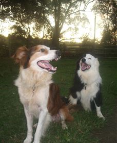 Brockhurst Farm Accommodation / Wedding Venue - SA Accommodation 1