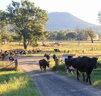 Tommerups Dairy Farmstay - SA Accommodation