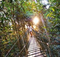 O'Reilly's Rainforest Retreat - SA Accommodation