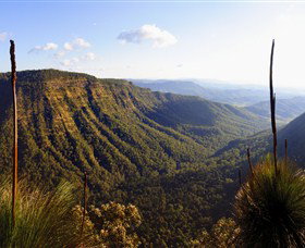 O'Reilly's Rainforest Retreat - SA Accommodation 3