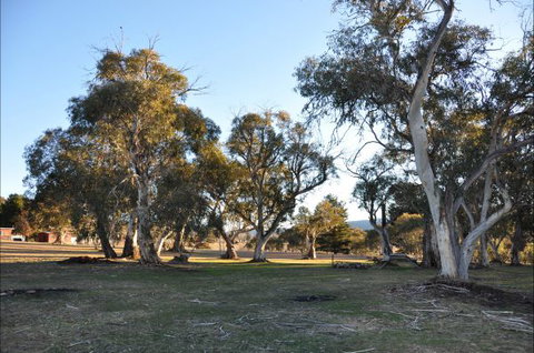 Braemar Bay Holiday Park - SA Accommodation 5