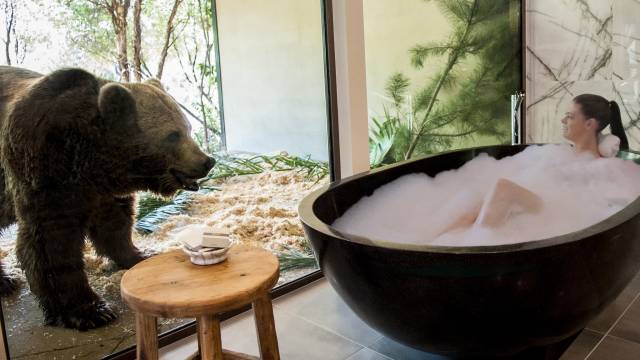 Weston Creek ACT SA Accommodation