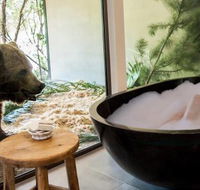 Jamala Wildlife Lodge - SA Accommodation