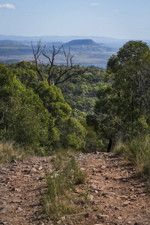 Kroombit Tops National Park Camping Ground - SA Accommodation 3