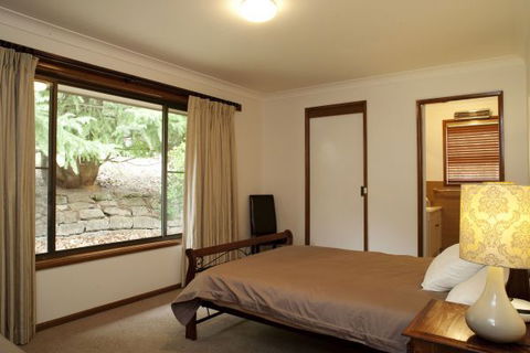 The Jungle Lodge, Blue Mountains Botanic Gardens - SA Accommodation 3