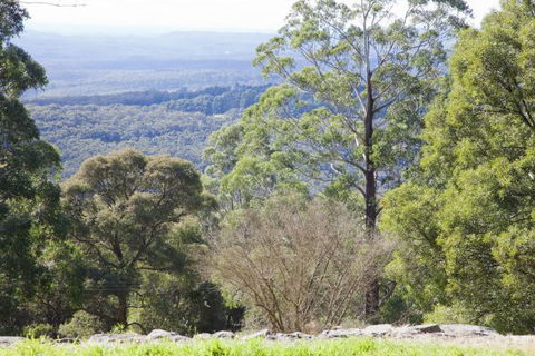 The Jungle Lodge, Blue Mountains Botanic Gardens - SA Accommodation 6