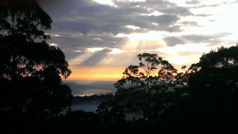 The Jungle Lodge, Blue Mountains Botanic Gardens - SA Accommodation 8