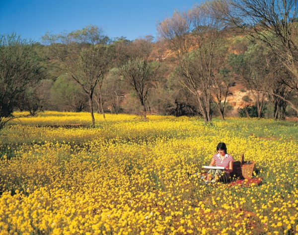 Wongoondy WA SA Accommodation