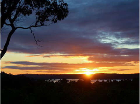 Herons Rise Vineyard Accommodation - SA Accommodation 4