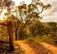 Kurrajong Trails and Cottages - SA Accommodation