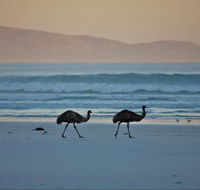 Thomas River Shire Reserve Camp at Cape Arid National Park - SA Accommodation