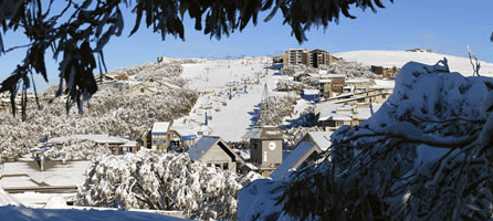 Alpine Ridge Lodge - SA Accommodation 0