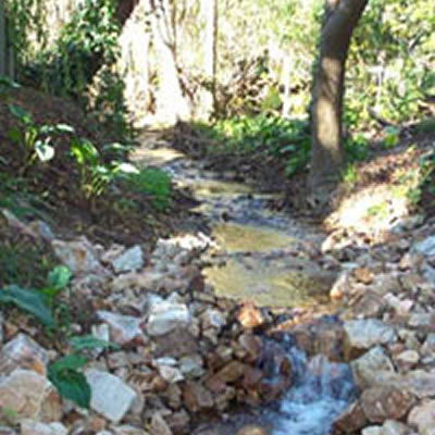 Pettswood Lodge - SA Accommodation 3