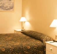 Best Western Abel Tasman Airport Motor Inn - SA Accommodation