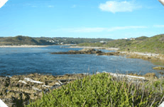 Arthur River Cabin Park - SA Accommodation 5