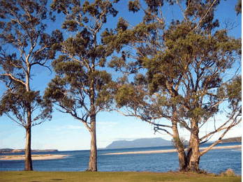Island View Motel - SA Accommodation 3
