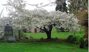 Glencoe Country Bed And Breakfast - SA Accommodation 3
