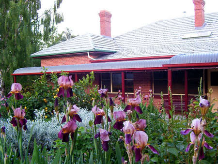 Donalea Bed & Breakfast - SA Accommodation 0