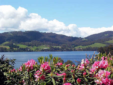 Donalea Bed & Breakfast - SA Accommodation 1